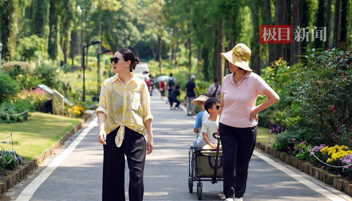 奔驰上线娱乐网址8688